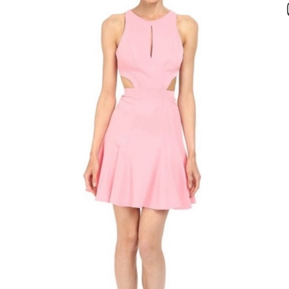 Zac Posen Pink Cutout Fit & Flare Dress